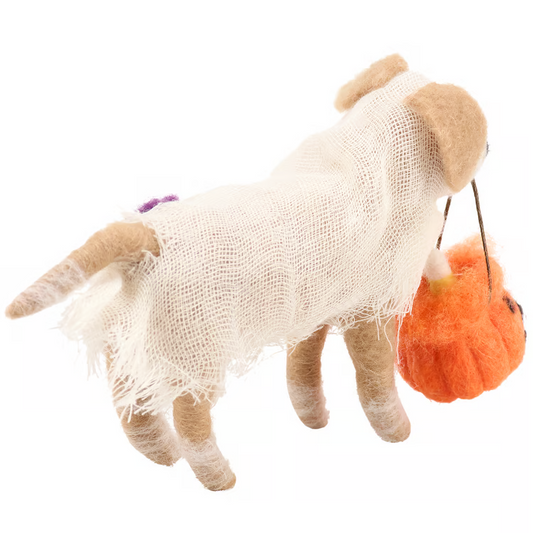 Trick or Treat Dog