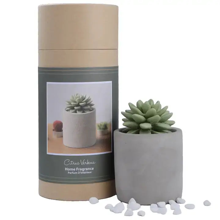 Succulent Diffuser