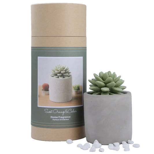 Succulent Diffuser