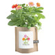 Thank You Garden in a Bag