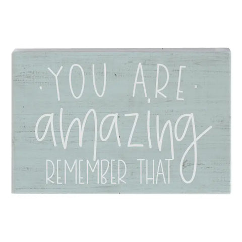 You are Amazing Coin Purse