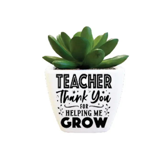 Thank You Teacher Succulent