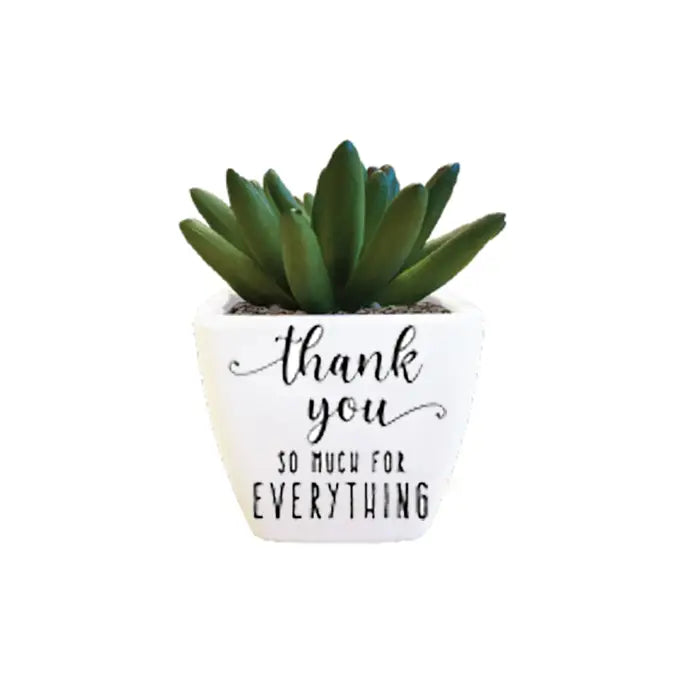 succulent thank you Thank You Succulent