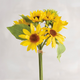 Sunflower Bouquet