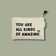Zipper Pouch - You are All Kinds of Amazing