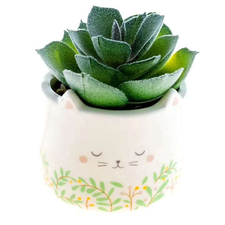 Shaped Succulent Pot
