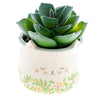 Shaped Succulent Pot