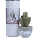 Cactus Ceramic Diffuser Gift Set