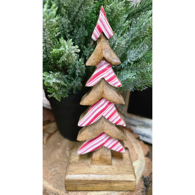 Candy Striped Downswept Tree