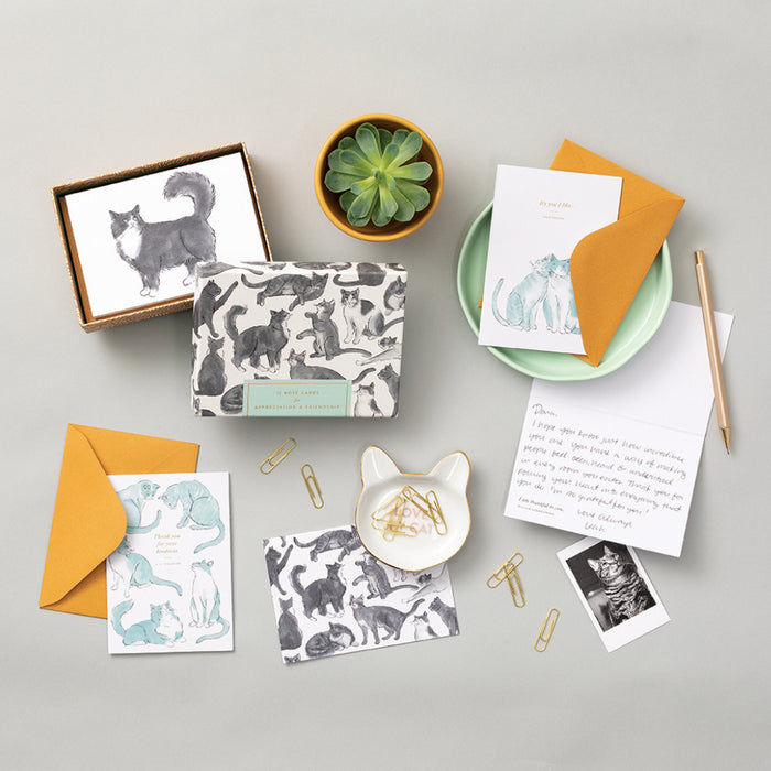 Cat Themed Note Card Set