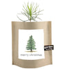 Garden in a Bag: Christmas Tree