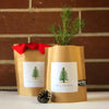 Garden in a Bag: Christmas Tree