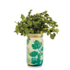 Herb Garden Jar