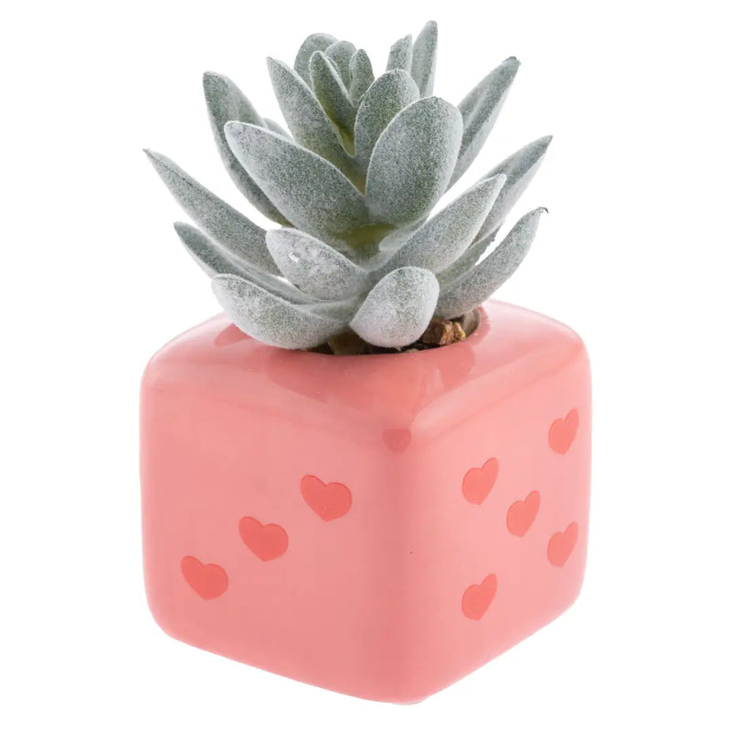Shaped Succulent Pot