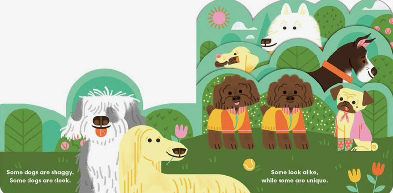 Some Dogs Board Book