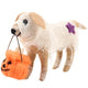 Trick or Treat Dog