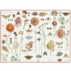 Puzzle - Seasons Study