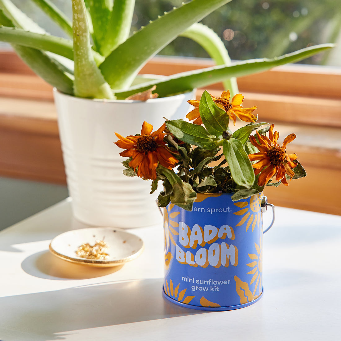 Bada Bloom Mini Sunflower Grow Kit