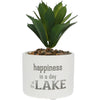 Happiness is a Day at the Lake Succulent