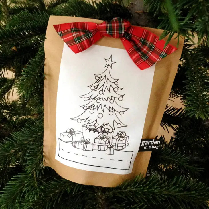 Kids Garden in a Bag: Christmas Tree