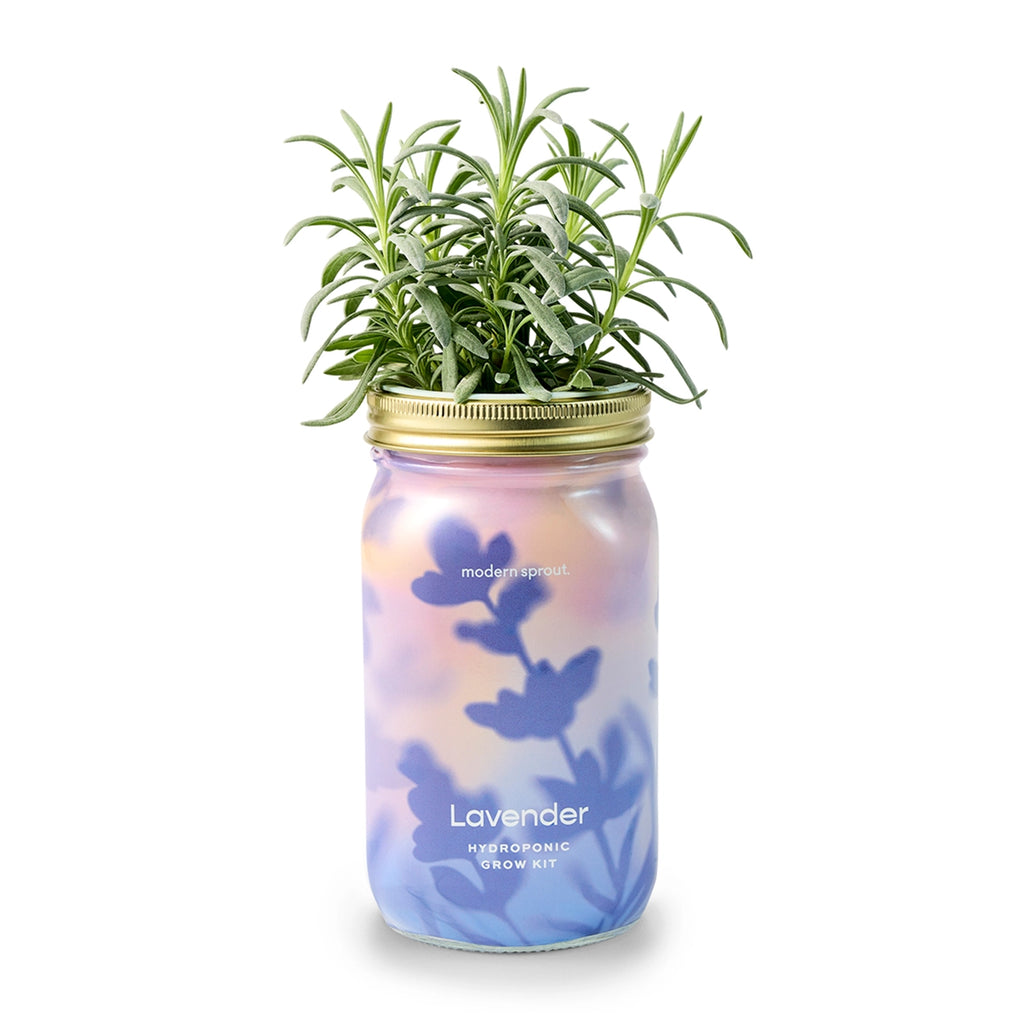 Herb Garden Jar