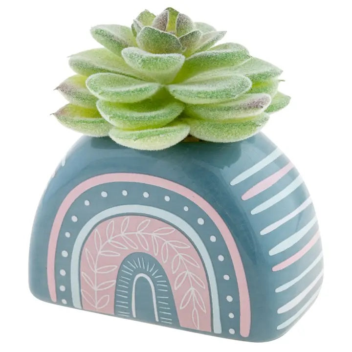 Shaped Succulent Pot