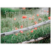 Sympathy Greeting Card