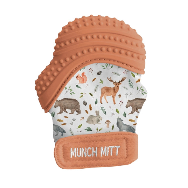 Teething Munch Mitt