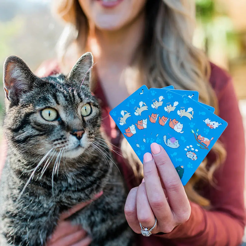 Cat Waterproof Playing Cards Set