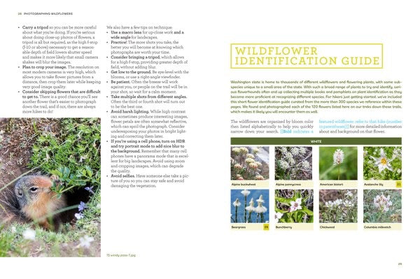 Washington Wildflower Hikes Book