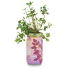 Herb Garden Jar