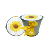 Sunflower Garden in a Pail