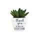 Thank You Succulent