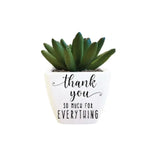 Thank You Succulent