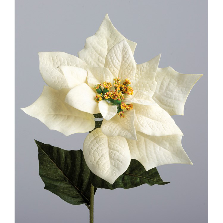 Large White Poinsettia Pick
