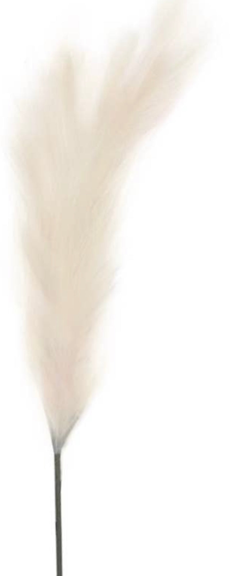 Artificial Pampas Plume