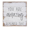 You are Amazing Pallet Sign