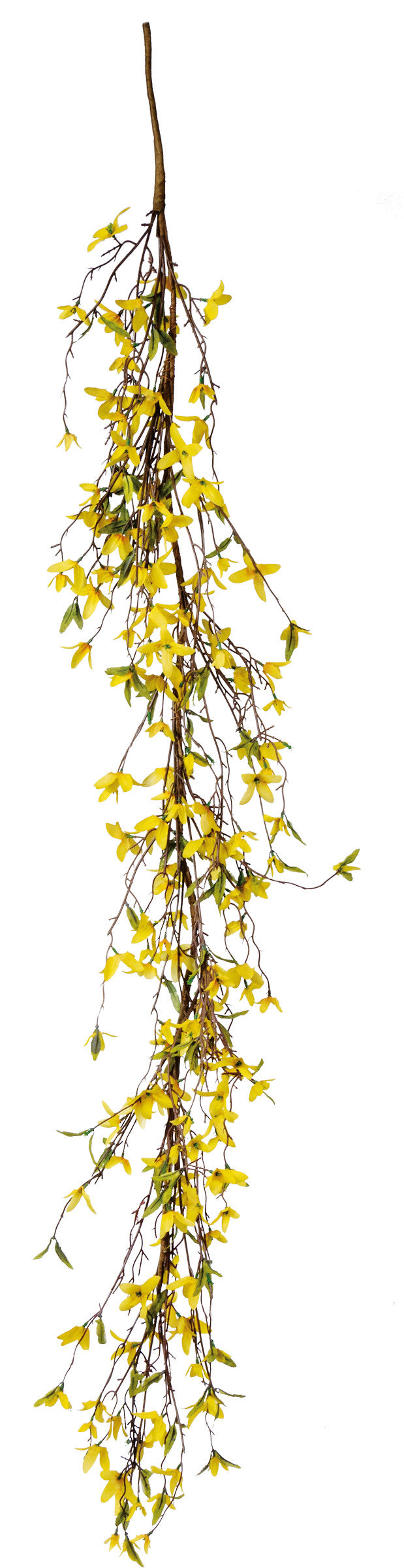 Forsythia Garland