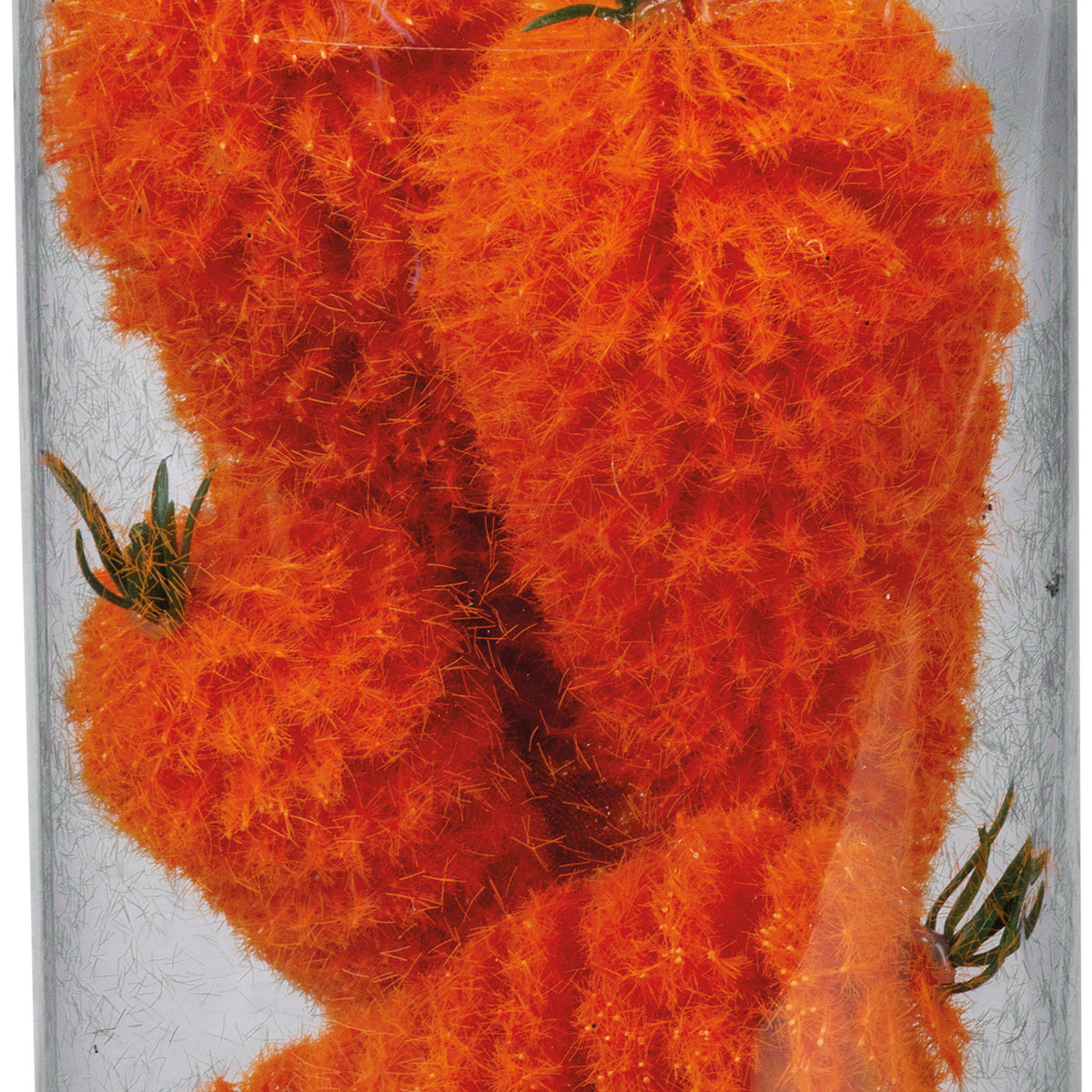 Bottle Brush Carrots